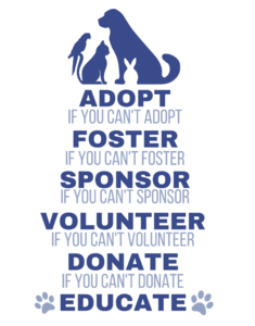 Adopt Foster Sponsor Volunteer - Állatvédőrség