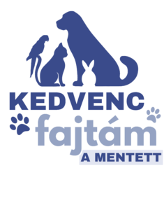 Kedvenc fajtám a mentett - Állatvédőrség