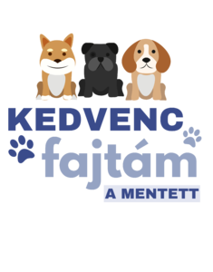 Kedvenc kutyafajtám a mentett - Állatvédőrség