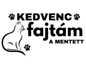 Kedvenc cica fajtám a mentett - Állatvédőrség